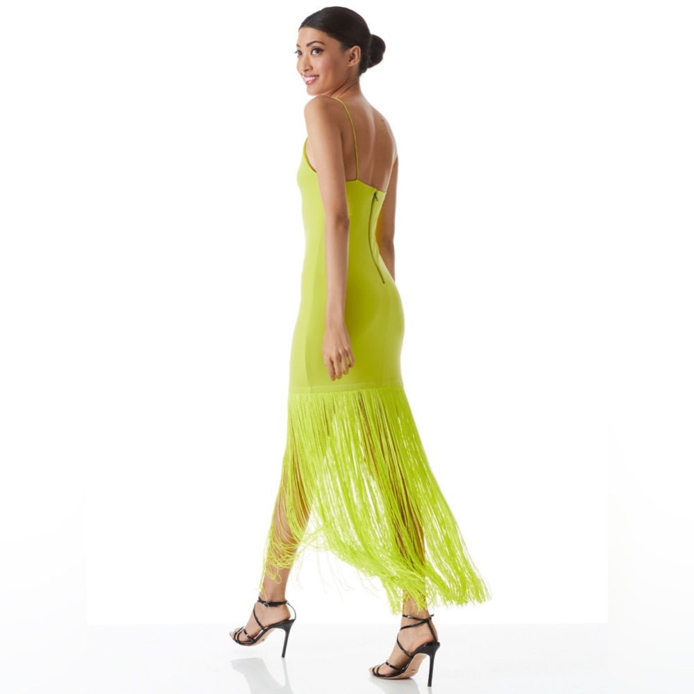 Alice + Olivia Steph Scoop Neck Fringe Dress
